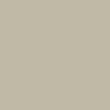 Color - Sand Dune
